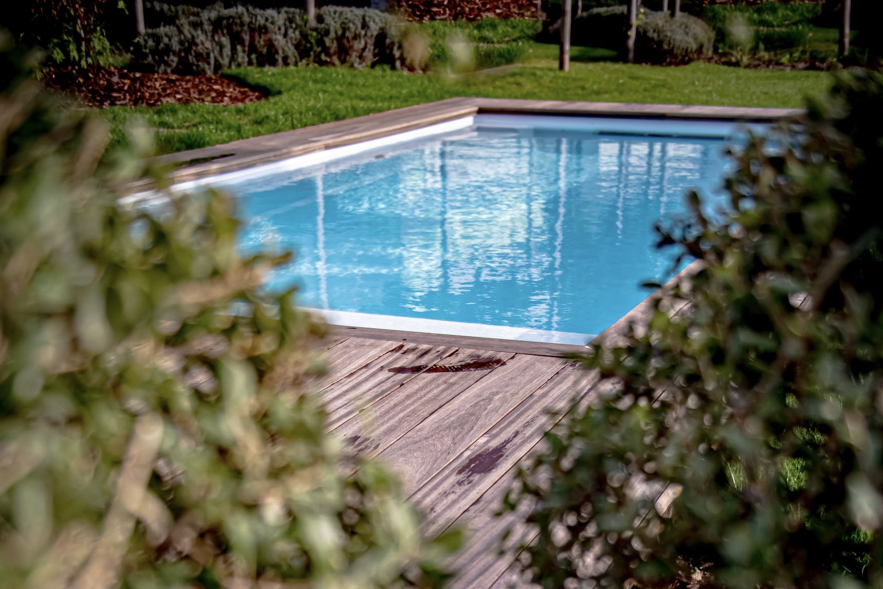 minipool image